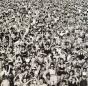 Listen Without Prejudice Vol. 1 - CD - Preview