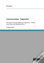 Capa do artigo Literaturanalyse