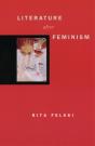 Literature After Feminism - Preview