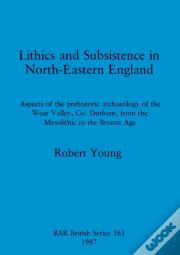 Lithics And Subsistence In North-Eastern England