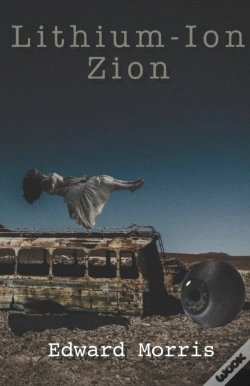 Capa do artigo Lithium-Ion Zion