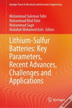 Capa do artigo Lithium-Sulfur Batteries: Key Parameters, Recent Advances, Challenges And Applications