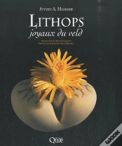 Capa do artigo Lithops, Joyaux Du Veld
