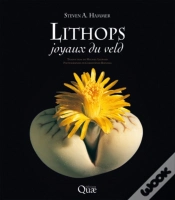 Capa do artigo Lithops