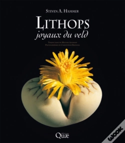 Capa do artigo Lithops