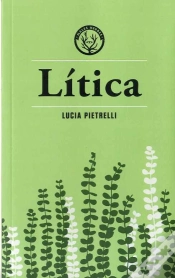 Capa do artigo Lítica