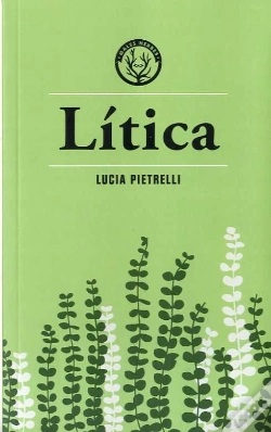 Capa do artigo Lítica