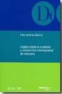 Litigios Sobre La Custodia Y Sustracción Internacional De Menores - Preview