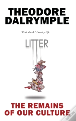 Capa do artigo Litter