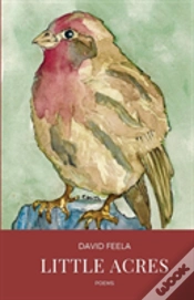 Capa do artigo Little Acres