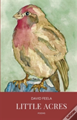 Capa do artigo Little Acres
