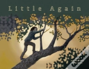 Capa do artigo Little Again