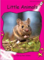 Little Animals - Preview