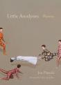 Little Anodynes - Preview