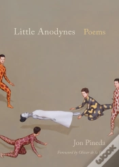 Capa do artigo Little Anodynes