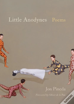 Capa do artigo Little Anodynes