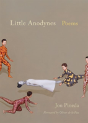Little Anodynes - Preview