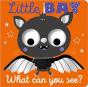 Little Bat What Can You See? - Preview