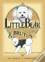 Capa do artigo Little Bear & Brutus