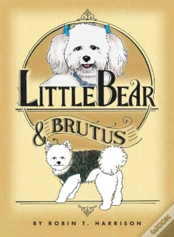 Capa do artigo Little Bear & Brutus