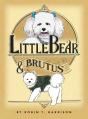 Little Bear & Brutus - Preview