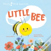 Capa do artigo Little Bee