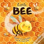 Capa do artigo Little Bee