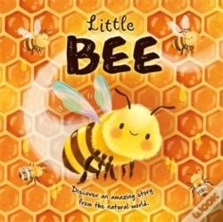 Capa do artigo Little Bee