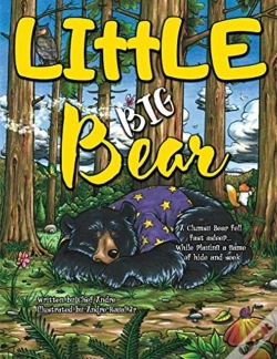 Capa do artigo Little Big Bear