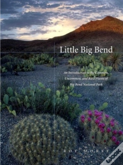 Capa do artigo Little Big Bend