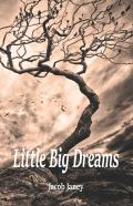Little Big Dreams