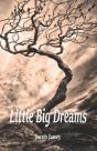 Little Big Dreams - Preview