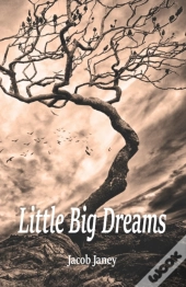 Little Big Dreams