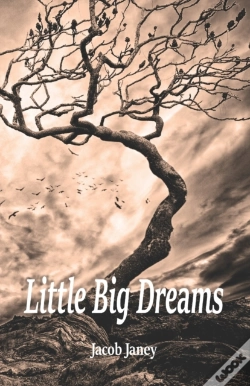 Capa do artigo Little Big Dreams