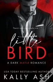 Capa do artigo Little Bird