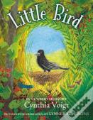 Little Bird