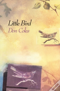 Capa do artigo Little Bird