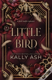 Capa do artigo Little Bird