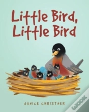 Capa do artigo Little Bird, Little Bird