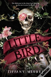 Capa do artigo Little Bird