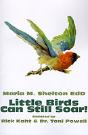 Little Birds Can Still Soar! - Preview