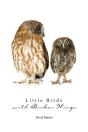 Little Birds With Broken Wings - Preview