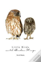 Capa do artigo Little Birds With Broken Wings