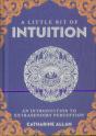 Little Bit Of Intuition, A - Preview