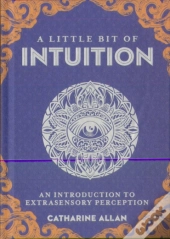 Little Bit Of Intuition, A