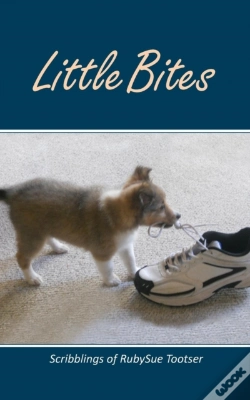 Capa do artigo Little Bites