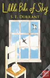 Capa do artigo Little Bits Of Sky