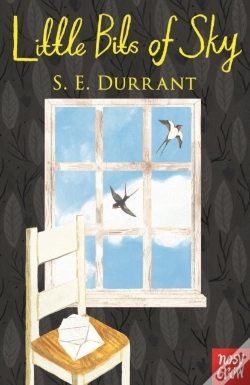 Capa do artigo Little Bits Of Sky