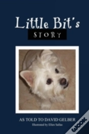 Capa do artigo Little Bit