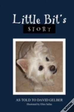 Capa do artigo Little Bit'S Story